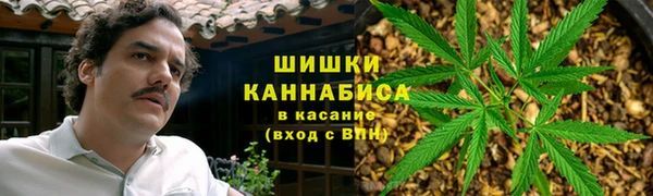 спайс Богданович